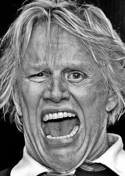 Gary Busey photo