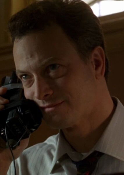 Gary Sinise photo