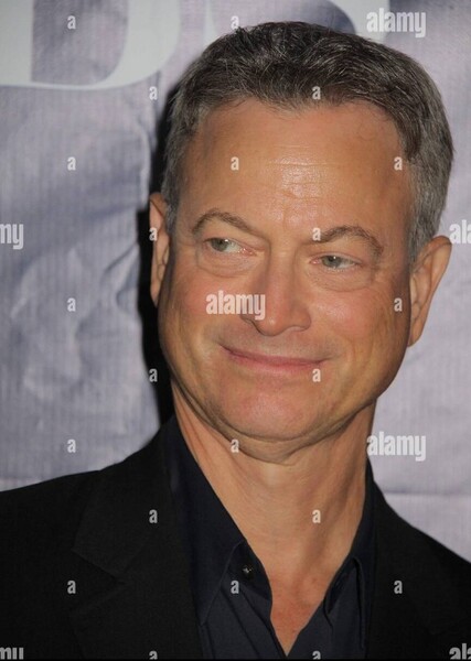 Gary Sinise photo