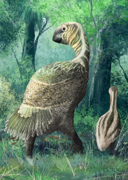 Gastornis photo
