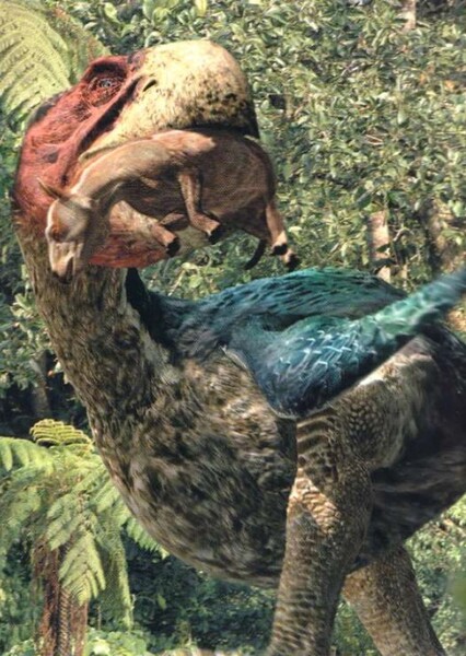 Gastornis