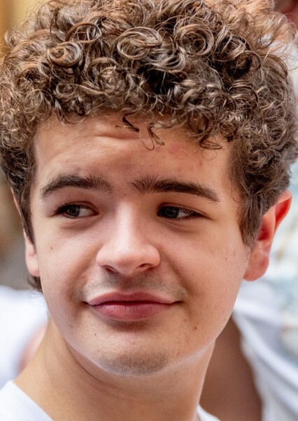 Gaten Matarazzo photo