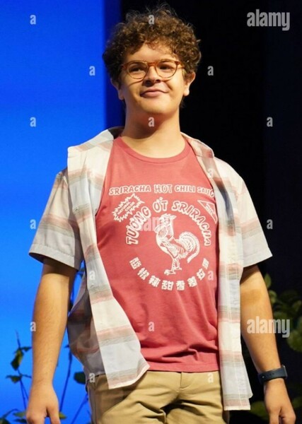 Gaten Matarazzo photo