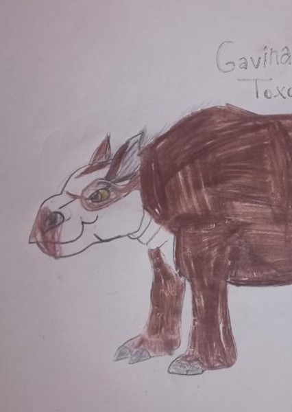 Gavina The Toxodon Platensis