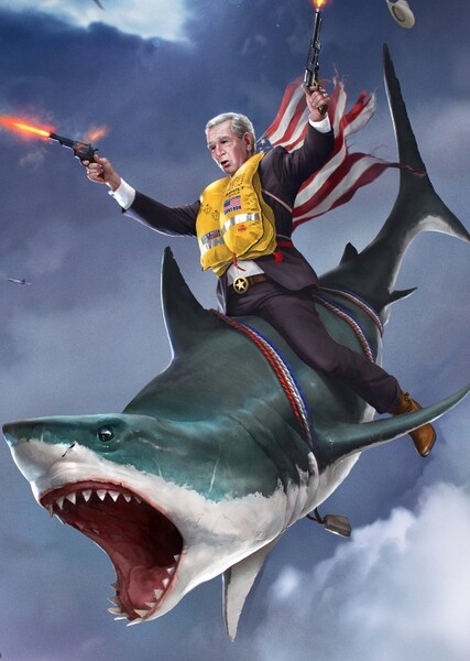 George W. Bush photo