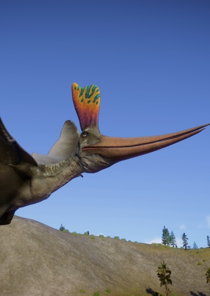 Geosternbergia photo