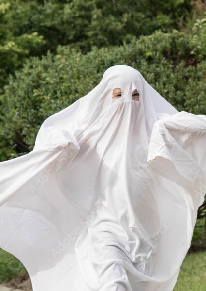 Ghost Costume photo