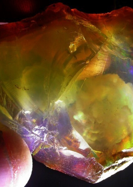 Ghost Opal
