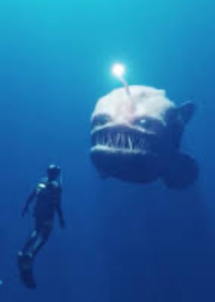Giant Angler-Fish