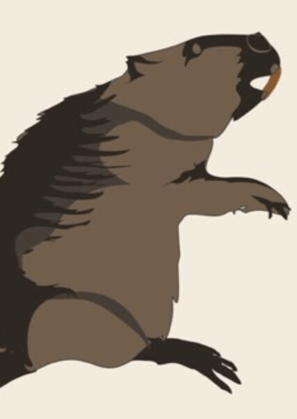 Giant Beaver photo