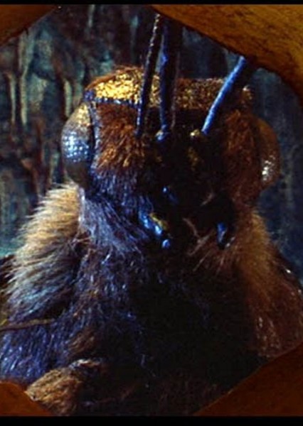 Giant Bee photo