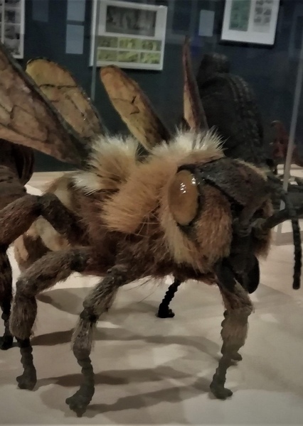 Giant Bee (The Mysterious Island) photo