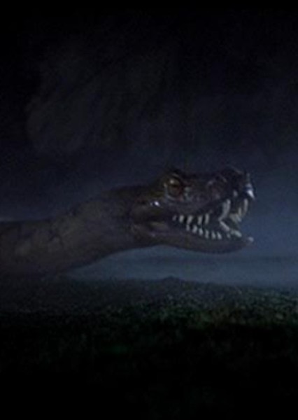Giant Boa