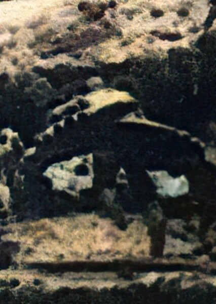 Battle in the Spider Pit