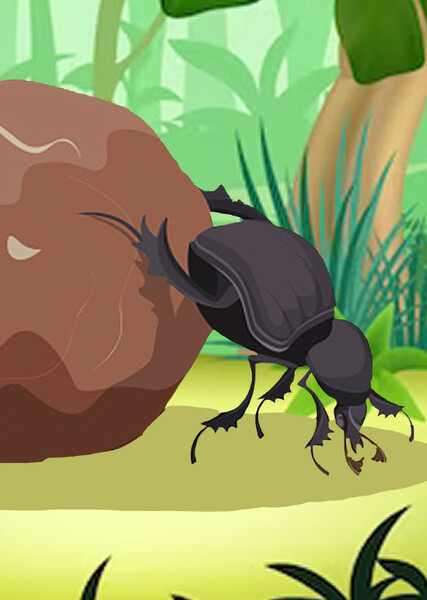 Giant Dung Beetle