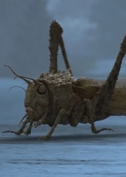 Giant Locust