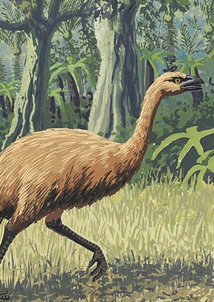 Giant Moa photo
