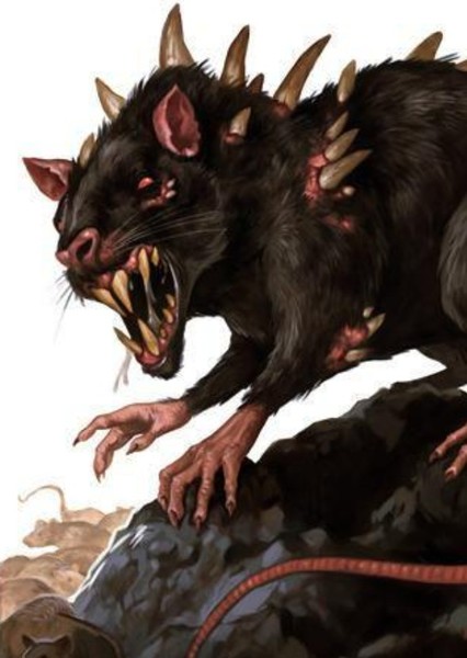 Giant Rat photo