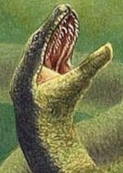 Giant Snake photo