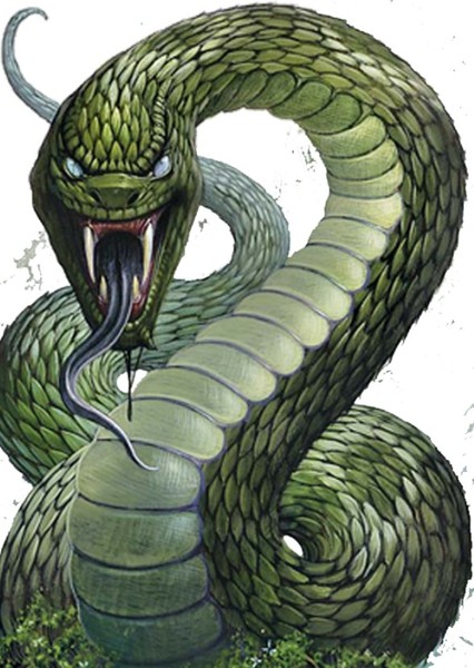 Giant Snake photo