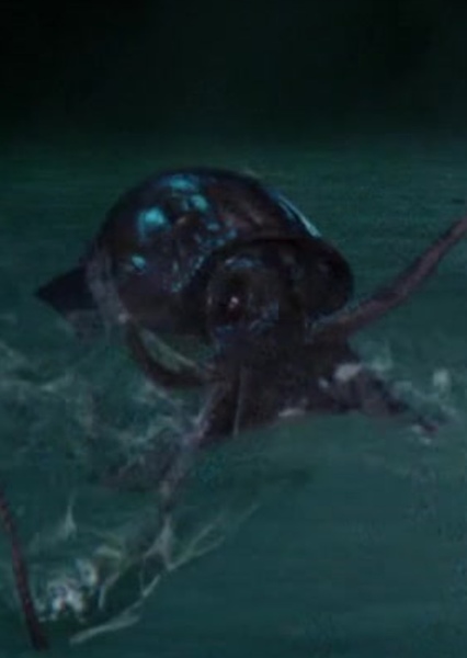 Giant Squid photo