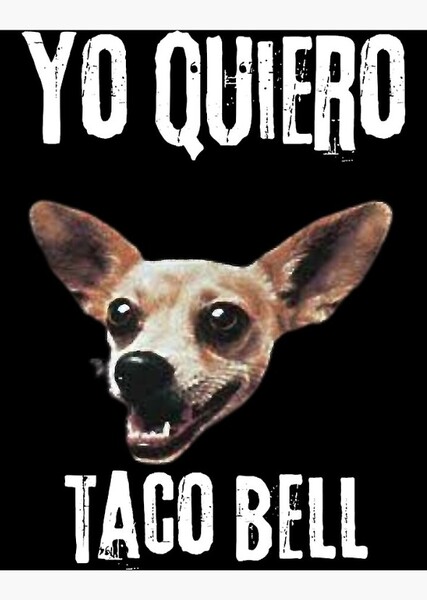 Gidget (Taco Bell Chihuahua) photo
