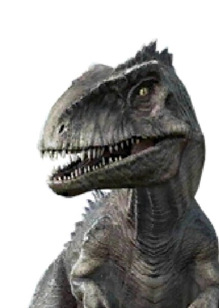 Giganotosaurus (Jurassic World: Primal Ops)