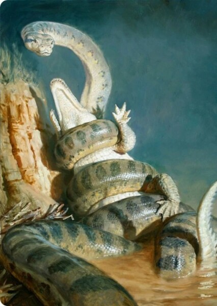 Gigantophis photo