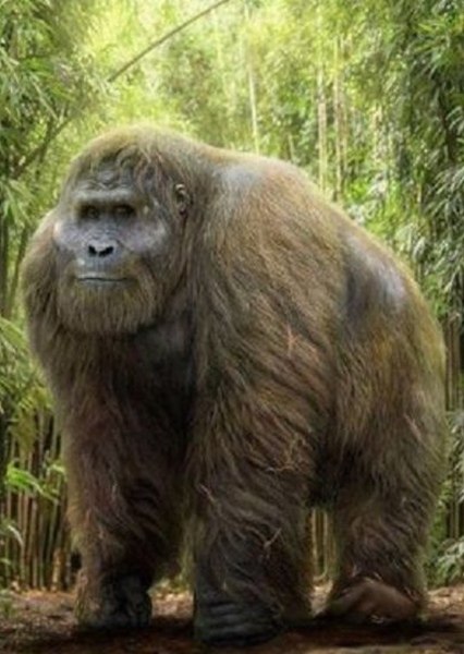 Gigantopithecus