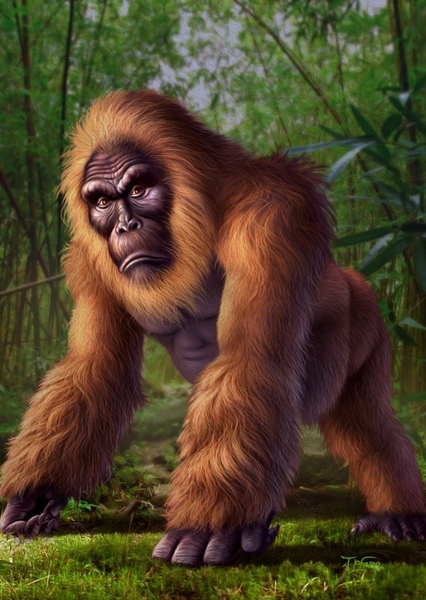 Gigantopithecus photo