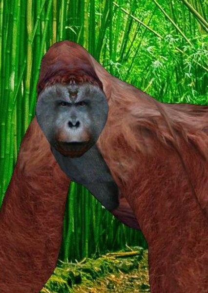Gigantopithecus photo