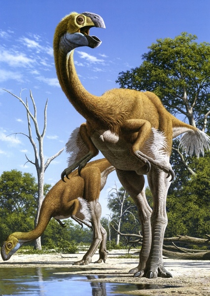 Gigantoraptor photo