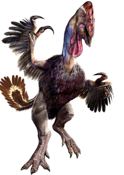 Gigantoraptor photo
