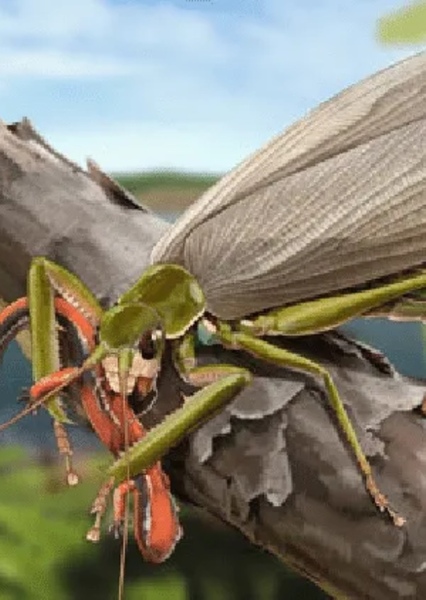 Gigatitan photo