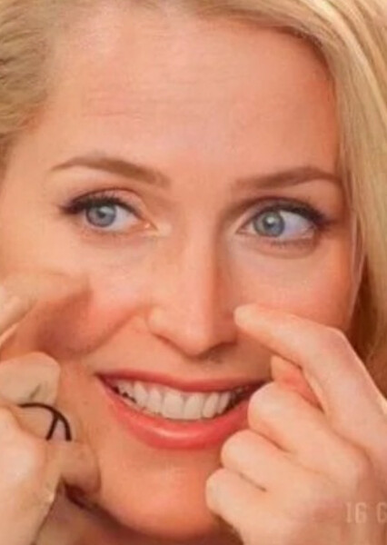 Gillian Anderson photo