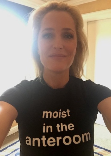 Gillian Anderson photo