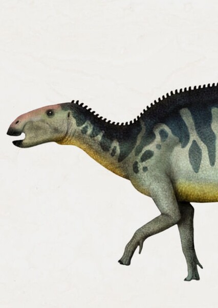 Gilmoreosaurus