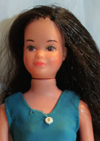 Ginger (Barbie) photo