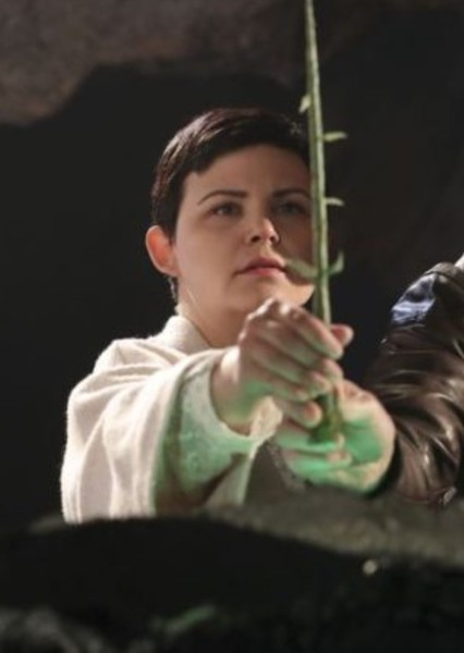 Ginnifer Goodwin photo