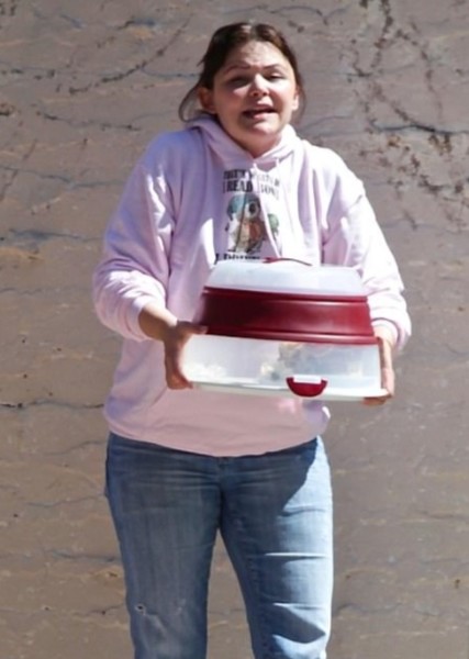 Ginnifer Goodwin photo