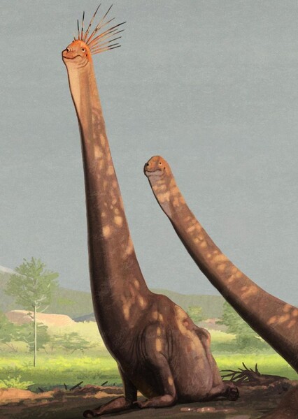 Giraffatitan photo