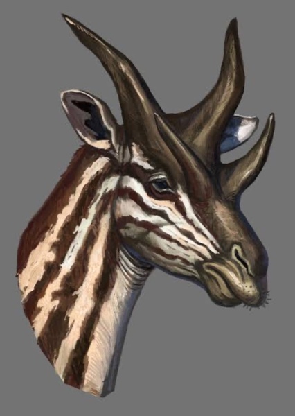 Giraffokeryx