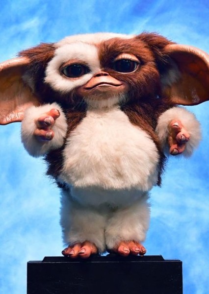 Gizmo photo