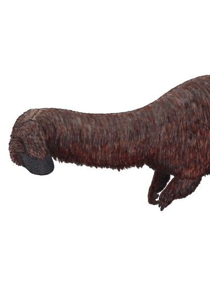 Glacialisaurus
