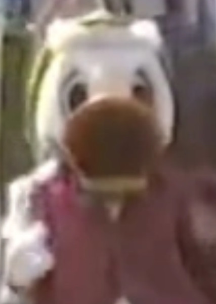 Gladstone Gander photo
