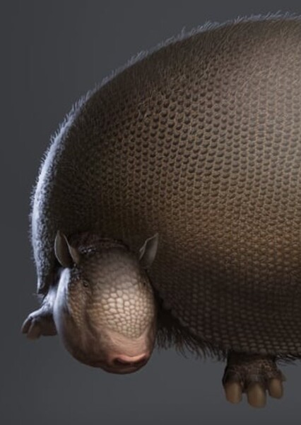 Glyptodon