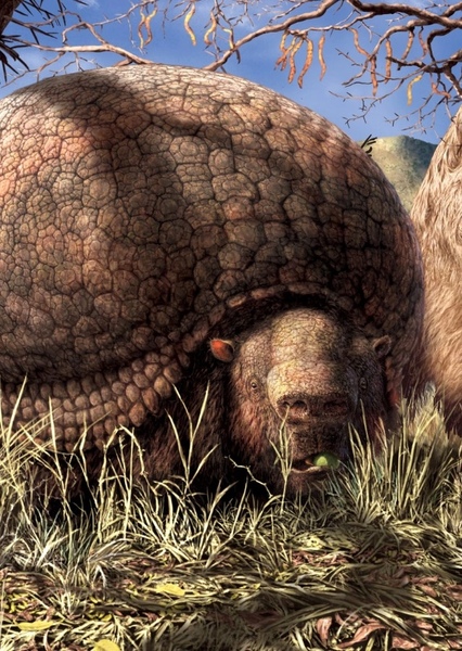 Glyptodon photo