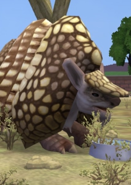 Glyptodon photo