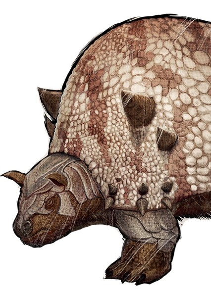 Glyptodon photo