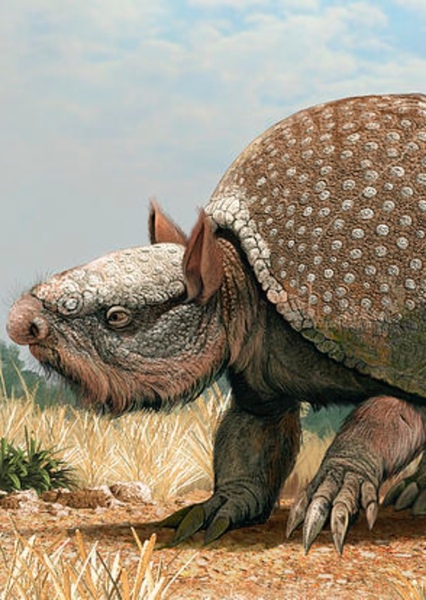 Glyptotherium